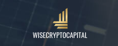 WiseCryptoCapital official logo